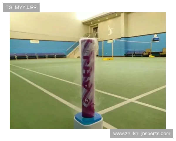 羽毛球蒸球器作用