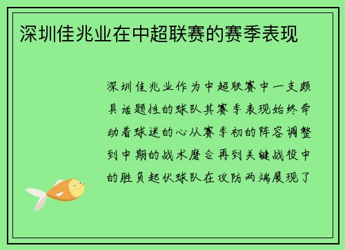 深圳佳兆业在中超联赛的赛季表现